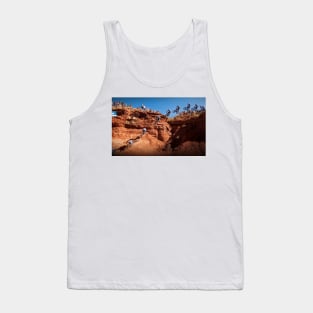 Gee Atherton Rampage Wall Ride Painting Tank Top